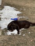 IMG_3040.jpeg