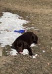 IMG_3046.jpeg