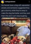 1740207276822.jpeg