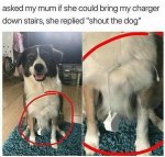 1740635841230.jpeg