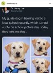 1740722653740.jpeg