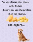 FB_IMG_1741277934024.jpg