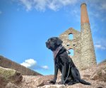 IMG_5781.jpeg
