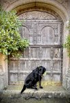 IMG_5870.jpeg
