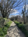 IMG_5920.jpeg