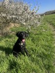 IMG_3229.jpeg