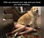 1744172909305.jpeg