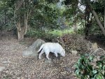 IMG_7924.jpeg