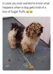 1746505751936.jpeg