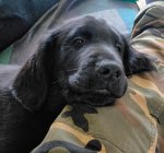 IMG20250507115803~2.jpg