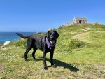 IMG_6568.jpeg