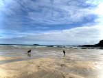 IMG_9819.jpeg