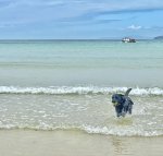 IMG_7267.jpeg