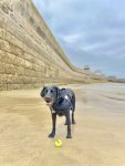 IMG_7285.jpeg