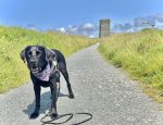 IMG_7207.jpeg