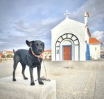IMG_3766.jpeg