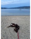 IMG_6899.jpeg