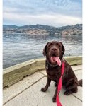 IMG_6898.jpeg