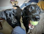 IMG_7444.jpeg