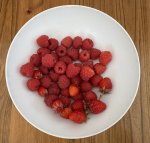 IMG_0457.jpeg