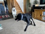 IMG_7502.jpeg