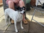 IMG_7514.jpeg