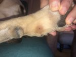 IMG_8411.jpeg