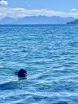 IMG_8074.jpeg