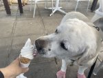 IMG_9465.jpeg