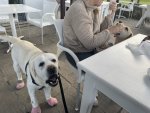 IMG_9470.jpeg