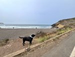IMG_8260.jpeg
