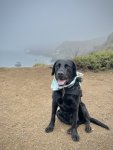 IMG_8288.jpeg