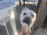 IMG_9510.jpeg