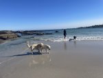 IMG_9639.jpeg