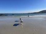 IMG_9645.jpeg