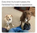 1756360284241.jpeg