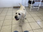 IMG_9650.jpeg