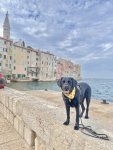 IMG_8695.jpeg