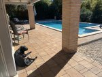 IMG_8734.jpeg