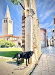 IMG_8762.jpeg