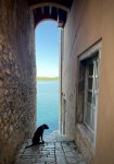 IMG_8864.jpeg