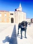 IMG_9035.jpeg