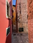 IMG_9113.jpeg