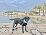 IMG_9268.jpeg
