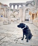 IMG_9238.jpeg