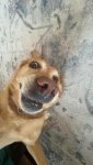 att.P57bNPZJ7H8EMS6tn4hXXn7C1jS5I8JMBX2sbLu3FTI.jpeg