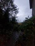 20251021_181106.jpg