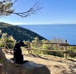 IMG_0374.jpeg IMG_0374.jpeg