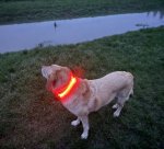 IMG_1750.jpeg IMG_1750.jpeg