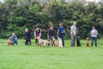 26 may walkies magnificent seven.jpg